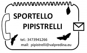Sportello Pipistrelli