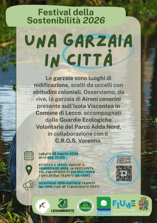 Una garzaia in citta finale