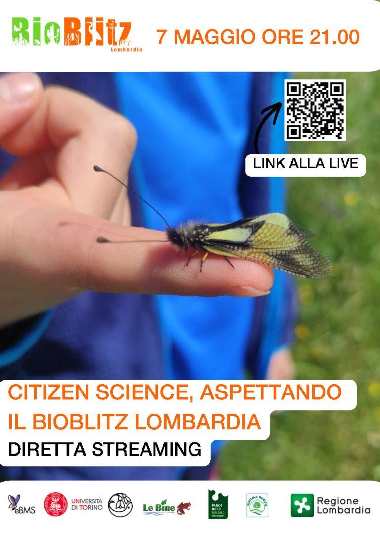 VOLANTINO_DIRETTA_STREAMING_Page1