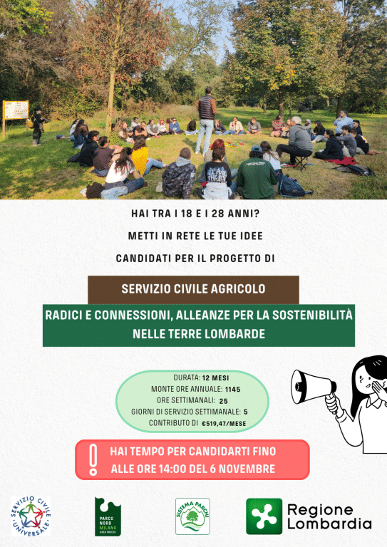 Locandina radici e connessioni fronte 1